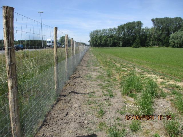 Ecoraster bij de E40 in Nevele.