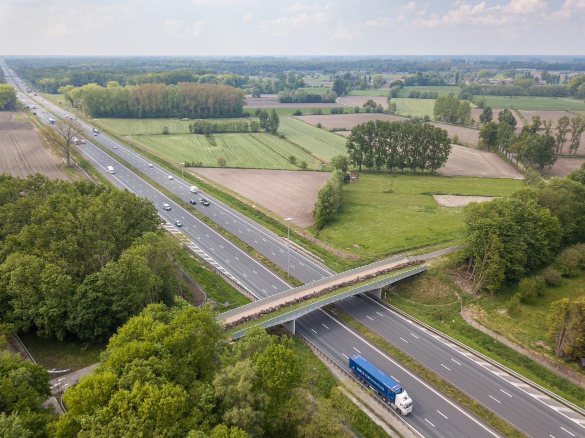 Luchtfoto ecoveloduct in Nevele.